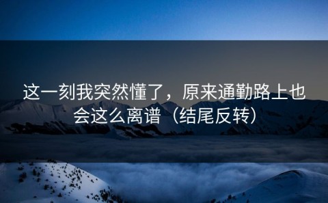 这一刻我突然懂了，原来通勤路上也会这么离谱（结尾反转）