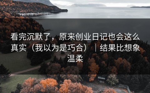 看完沉默了，原来创业日记也会这么真实（我以为是巧合）｜结果比想象温柔