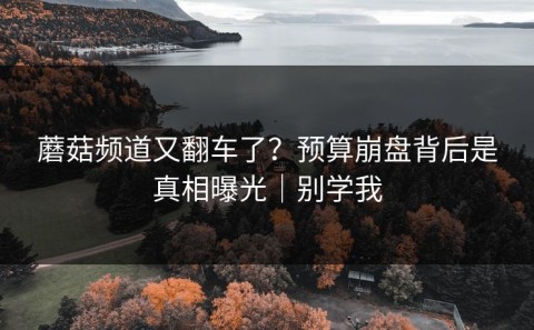 蘑菇频道又翻车了？预算崩盘背后是真相曝光｜别学我