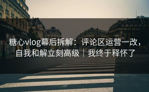 糖心vlog幕后拆解：评论区运营一改，自我和解立刻高级｜我终于释怀了