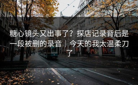糖心镜头又出事了？探店记录背后是一段被删的录音｜今天的我太温柔刀了