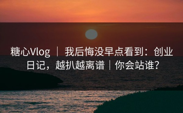 糖心Vlog ｜ 我后悔没早点看到：创业日记，越扒越离谱｜你会站谁？