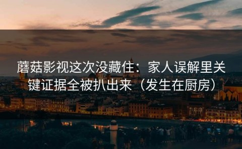 蘑菇影视这次没藏住：家人误解里关键证据全被扒出来（发生在厨房）