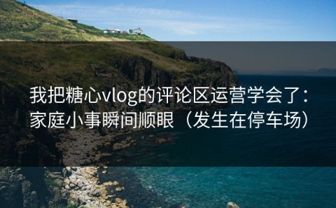 我把糖心vlog的评论区运营学会了：家庭小事瞬间顺眼（发生在停车场）