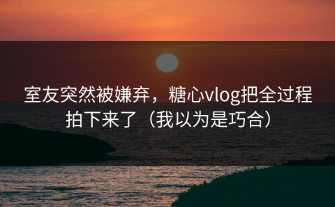 室友突然被嫌弃，糖心vlog把全过程拍下来了（我以为是巧合）