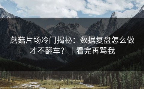 蘑菇片场冷门揭秘：数据复盘怎么做才不翻车？｜看完再骂我
