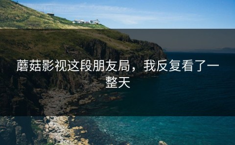 蘑菇影视这段朋友局，我反复看了一整天