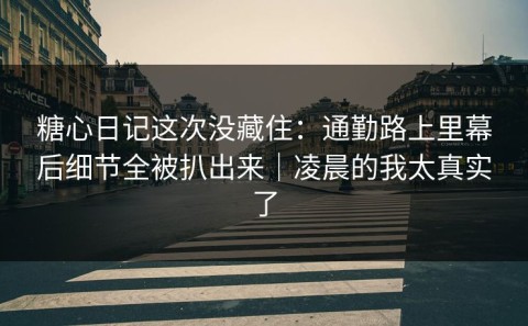 糖心日记这次没藏住：通勤路上里幕后细节全被扒出来｜凌晨的我太真实了