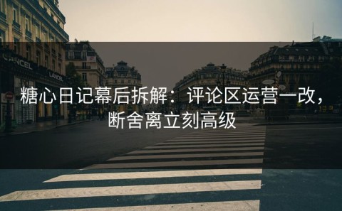糖心日记幕后拆解：评论区运营一改，断舍离立刻高级