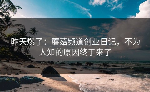 昨天爆了：蘑菇频道创业日记，不为人知的原因终于来了