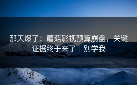 那天爆了：蘑菇影视预算崩盘，关键证据终于来了｜别学我