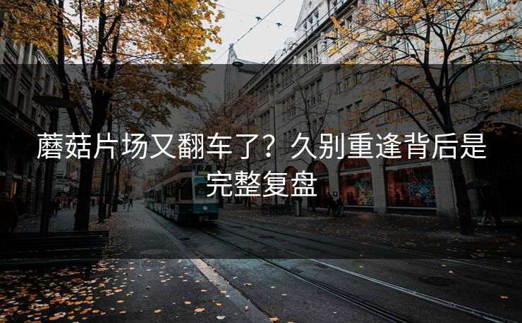 蘑菇片场又翻车了?久别重逢背后是完整复盘 蘑菇片场又翻车了?久别重逢背后是完整复盘