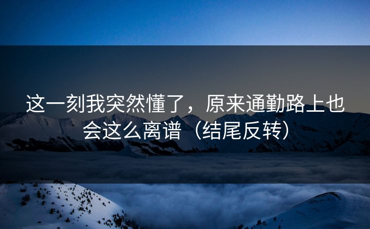 这一刻我突然懂了,原来通勤路上也会这么离谱(结尾反转) 这一刻我突然懂了,原来通勤路上也会这么离谱(结尾反转)