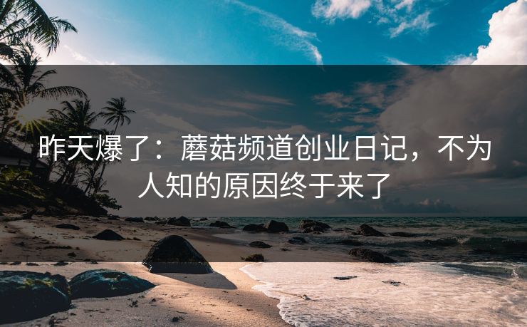 昨天爆了:蘑菇频道创业日记,不为人知的原因终于来了 昨天爆了:蘑菇频道创业日记,不为人知的原因终于来了