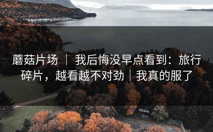 蘑菇片场 ｜ 我后悔没早点看到：旅行碎片，越看越不对劲｜我真的服了
